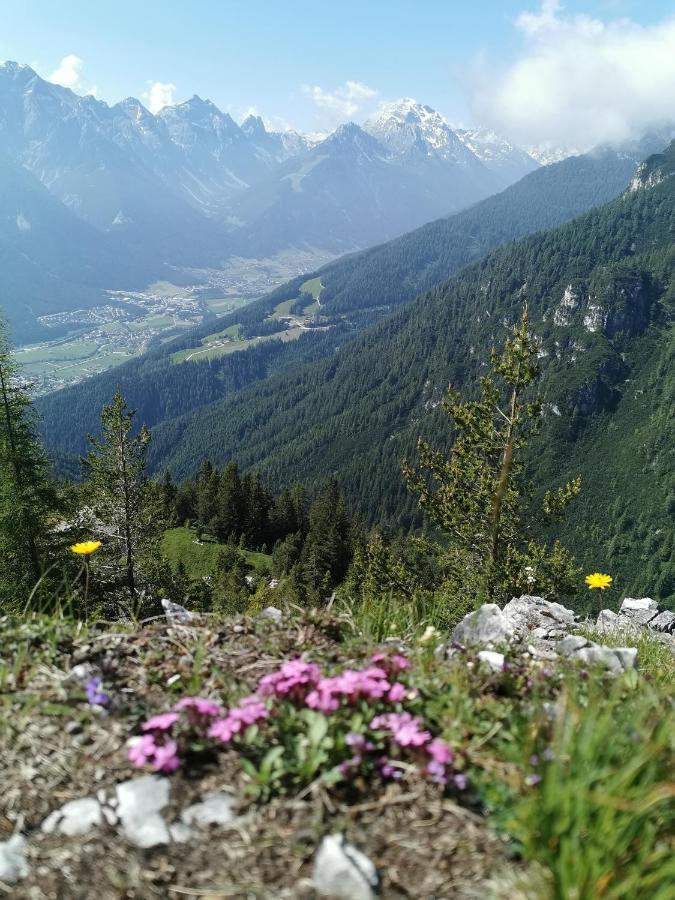 Pension Bergwelt นอยชติฟ อิม ชตูไปทัล ภายนอก รูปภาพ