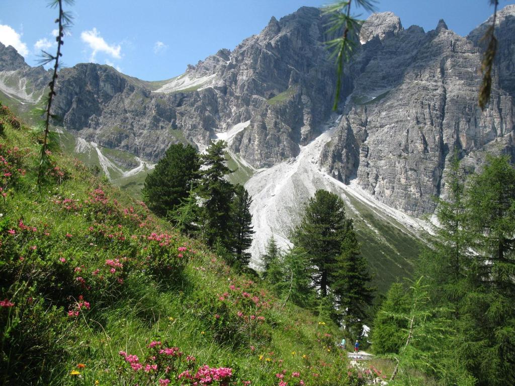 Pension Bergwelt นอยชติฟ อิม ชตูไปทัล ภายนอก รูปภาพ